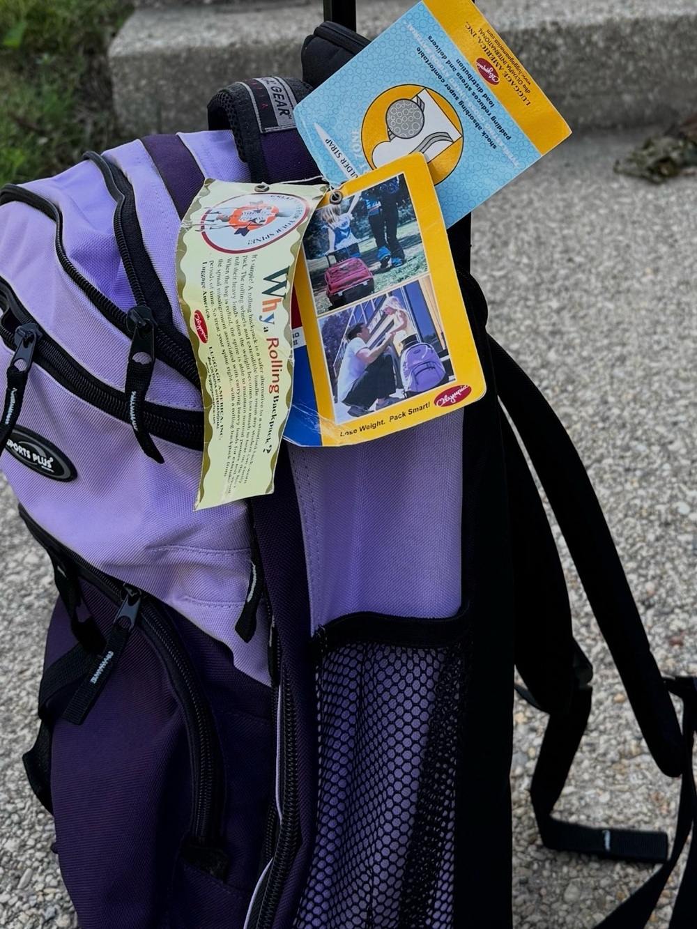 Casual Gear Purple Rolling Laptop Backpack with Dual-Tone Design - Picture 3 of 13
